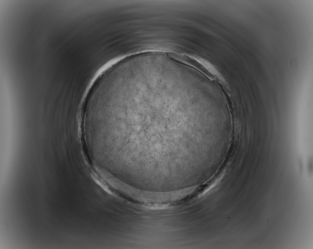 X0000085250846200703301809