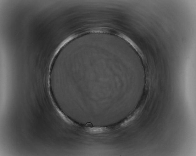 X0000085250853200703301809