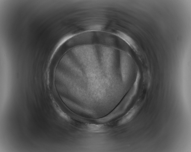 X0000085250854200703301809