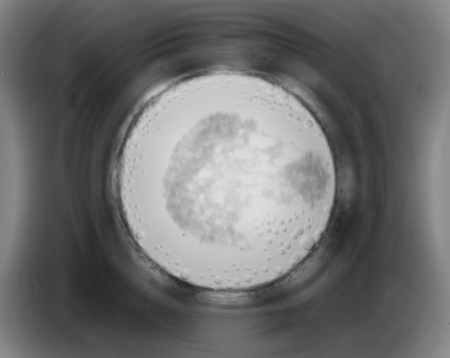 X0000085250856200703301809