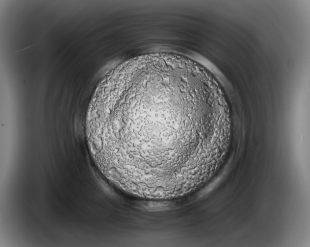 X0000085250857200703301809