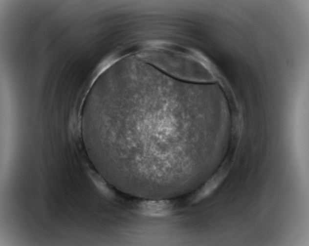 X0000085250858200703301809