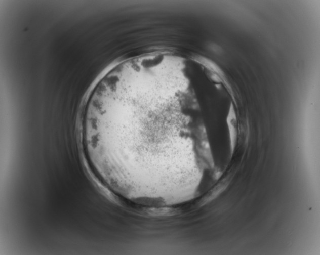 X0000085250859200703301809