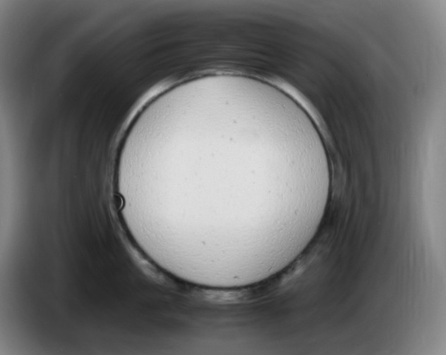 X0000085250861200703301809