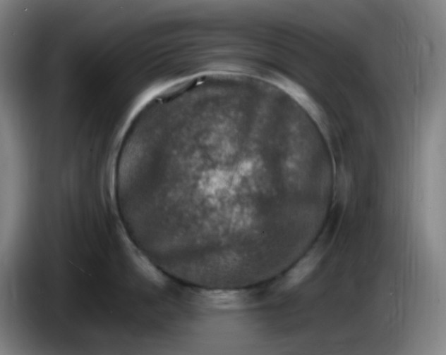 X0000085250862200703301809