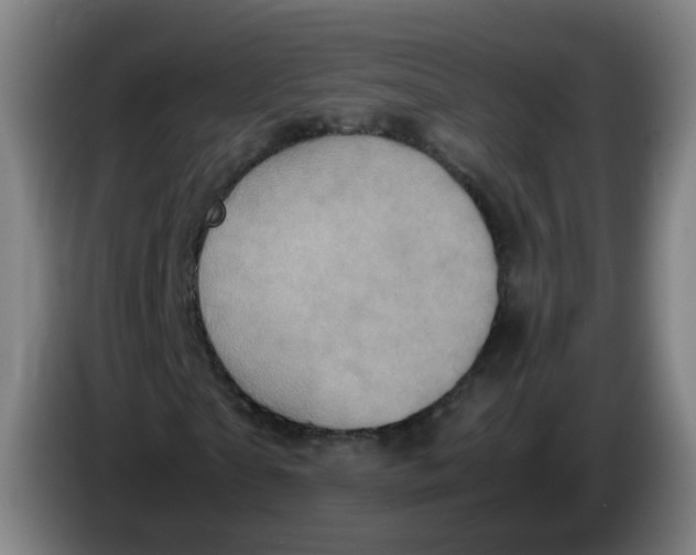 X0000085250865200703301808