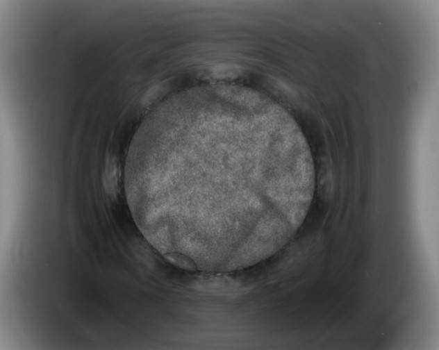 X0000085250866200703301808