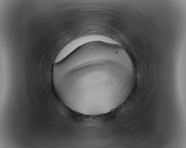 X0000085250868200703301808