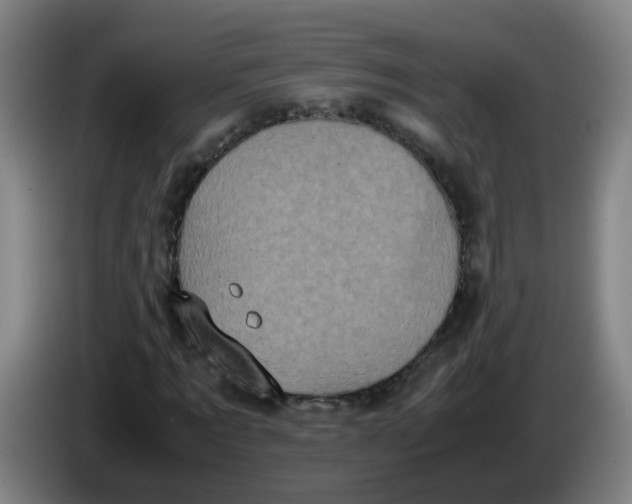 X0000085250869200703301808