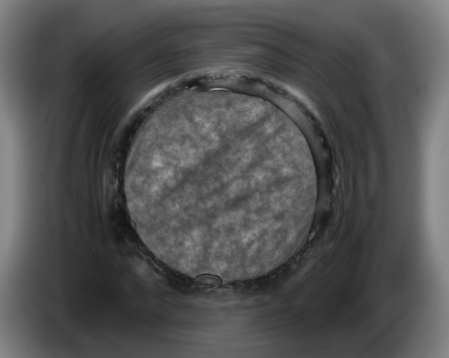 X0000085250872200703301808