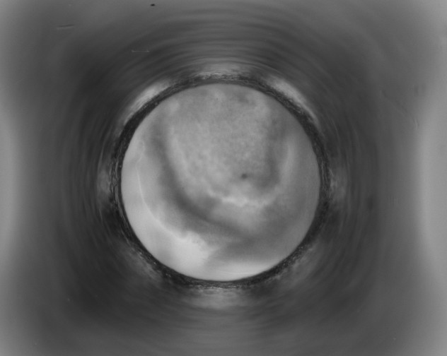 X0000085250874200703301808