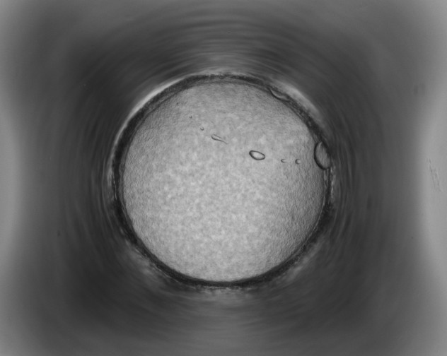 X0000085250876200703301808