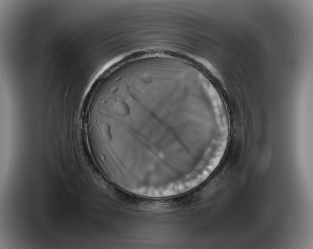 X0000085250879200703301808