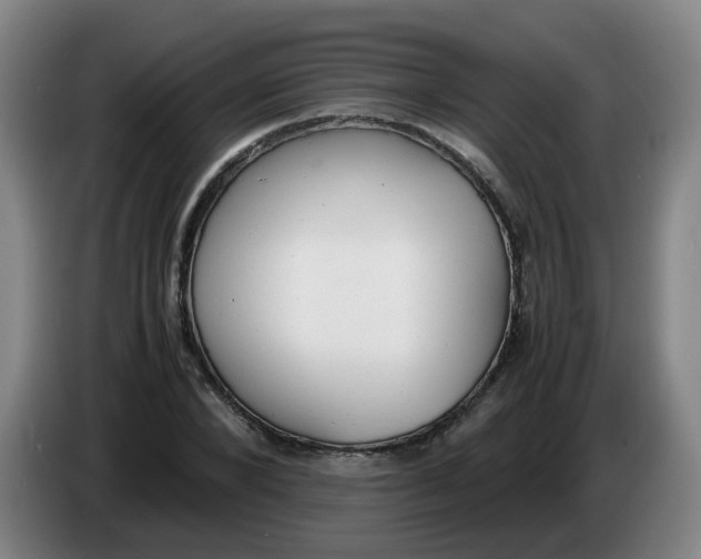 X0000085250880200703301808