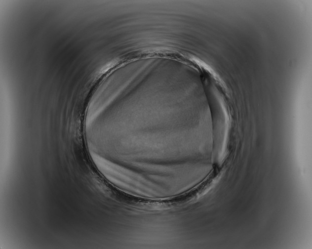 X0000085250881200703301808