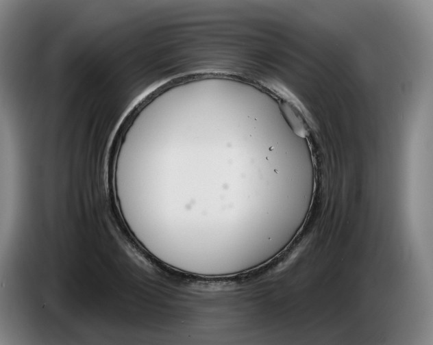 X0000085250884200703301808