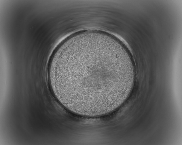 X0000085250887200703301808