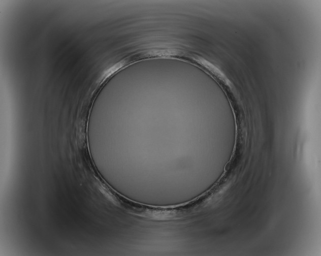 X0000085250889200703301808