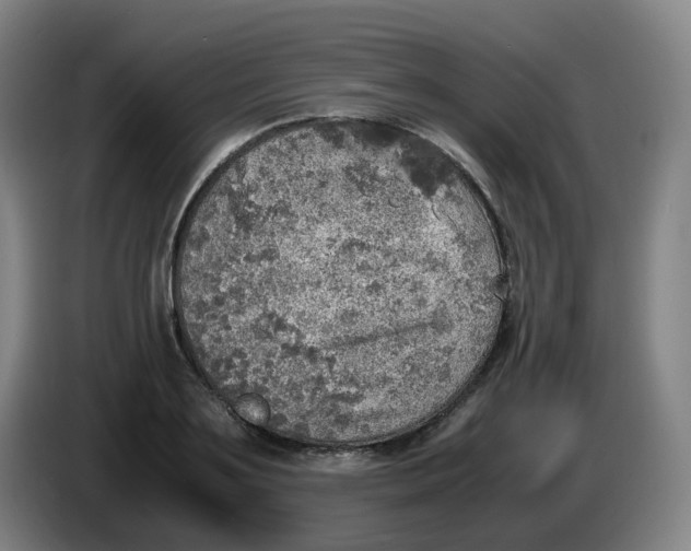 X0000085250891200703301808