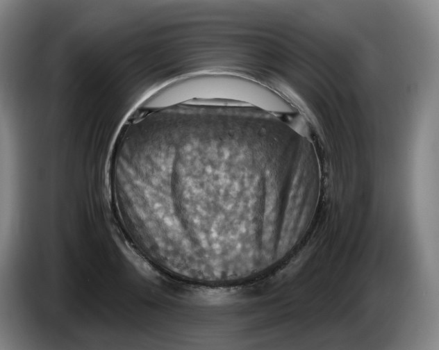 X0000085250892200703301808