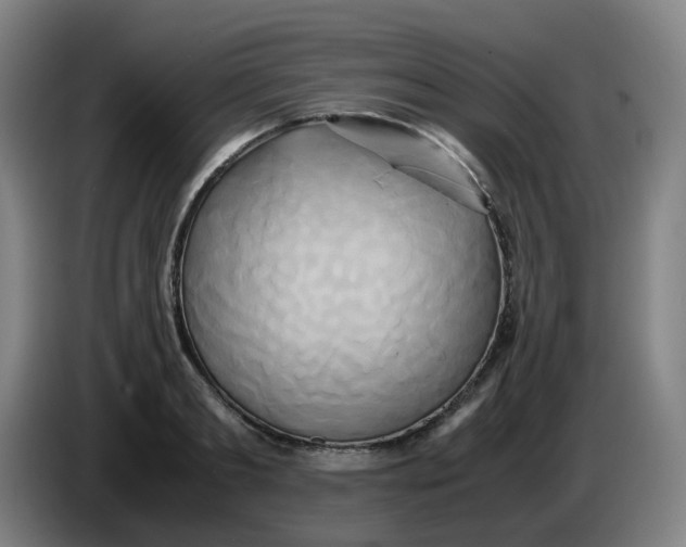 X0000085250893200703301808