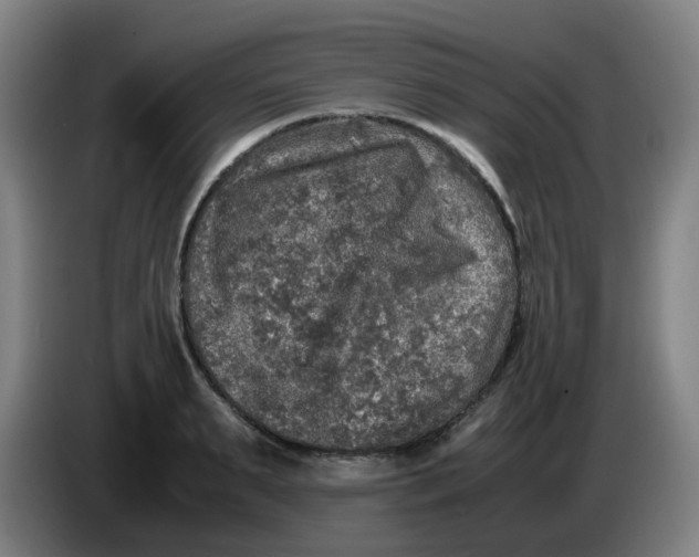 X0000085250895200703301808