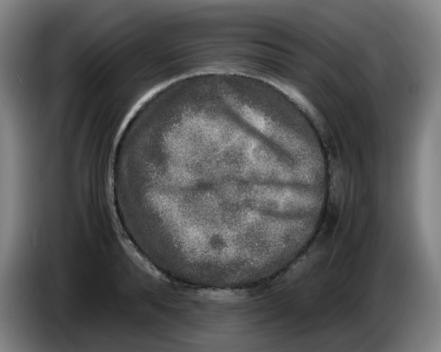 X0000085250896200703301808