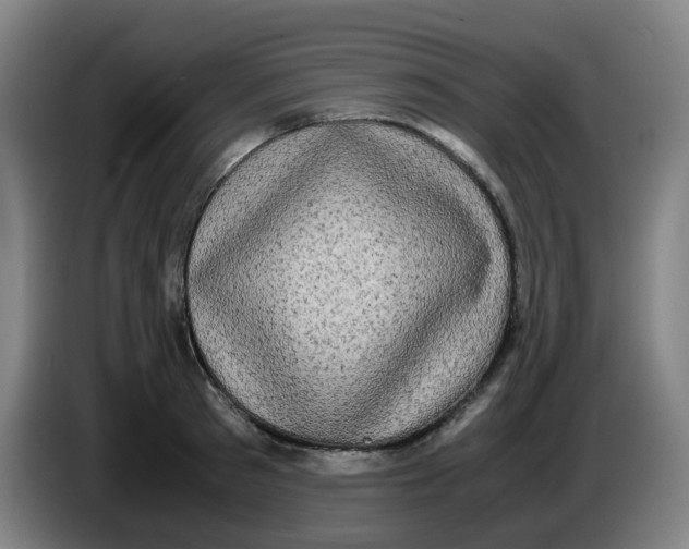 X0000085250897200703301808