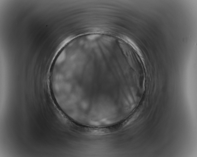 X0000085250899200703301808