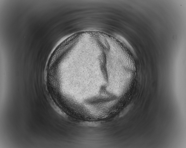 X0000085250900200703301808