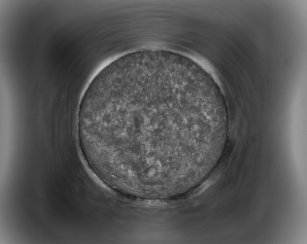 X0000085250903200703301808