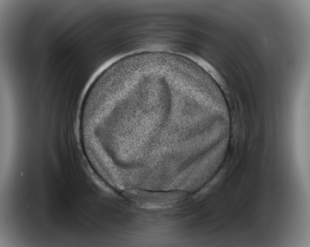 X0000085250904200703301808