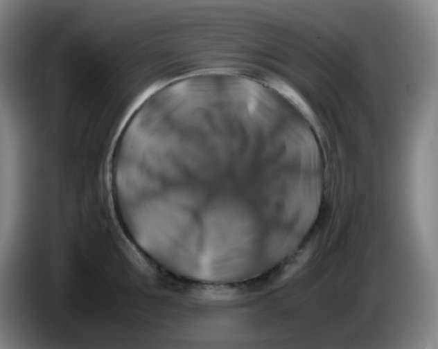 X0000085250907200703301807