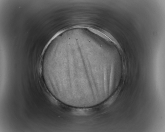 X0000085250908200703301807