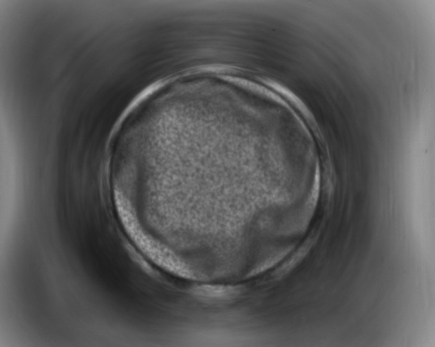 X0000085250910200703301807