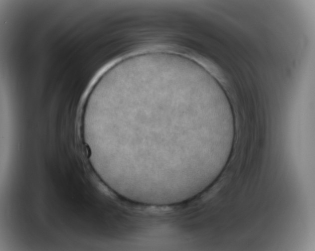 X0000085250912200703301807