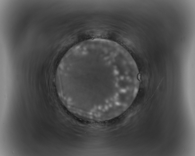 X0000085250913200703301807