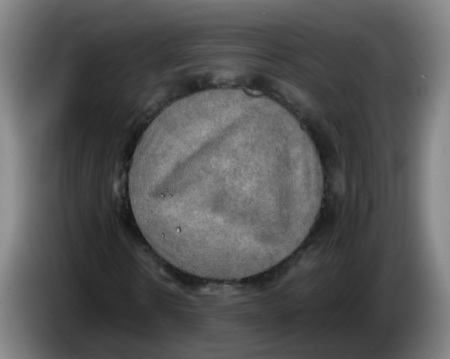 X0000085250914200703301807