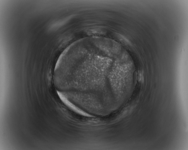 X0000085250915200703301807