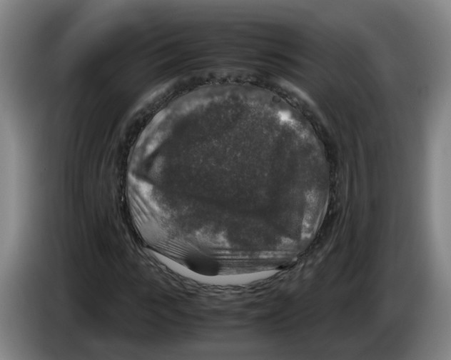 X0000085250919200703301807