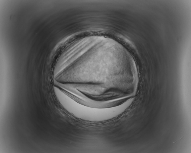 X0000085250920200703301807