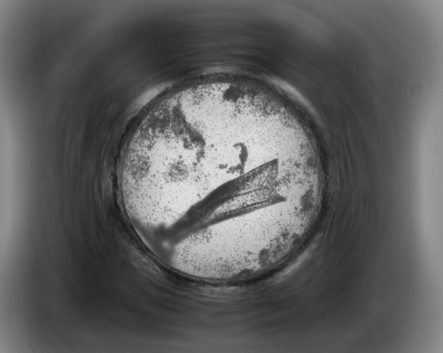 X0000085250921200703301807