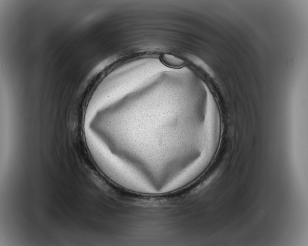 X0000085250922200703301807