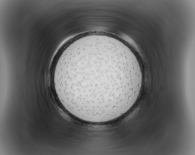 X0000085250924200703301807