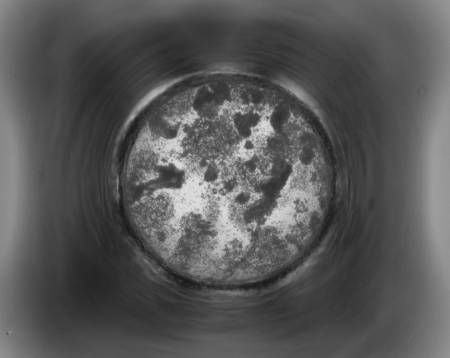 X0000085250925200703301807