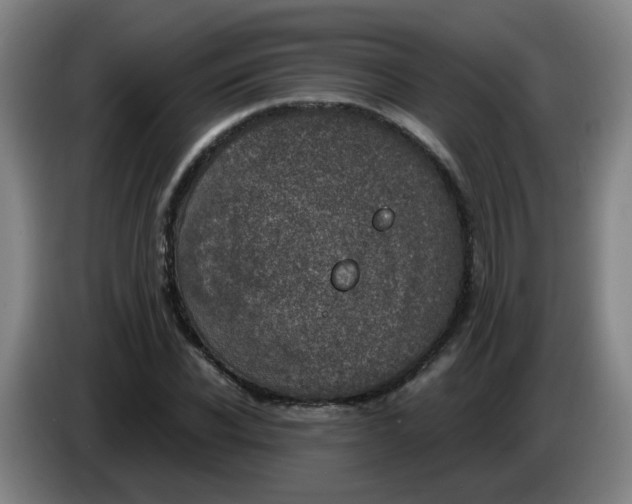 X0000085250926200703301807