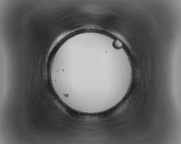 X0000085250927200703301807