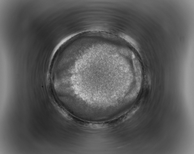 X0000085250928200703301807