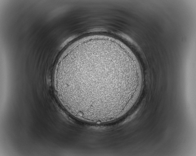 X0000085250929200703301807