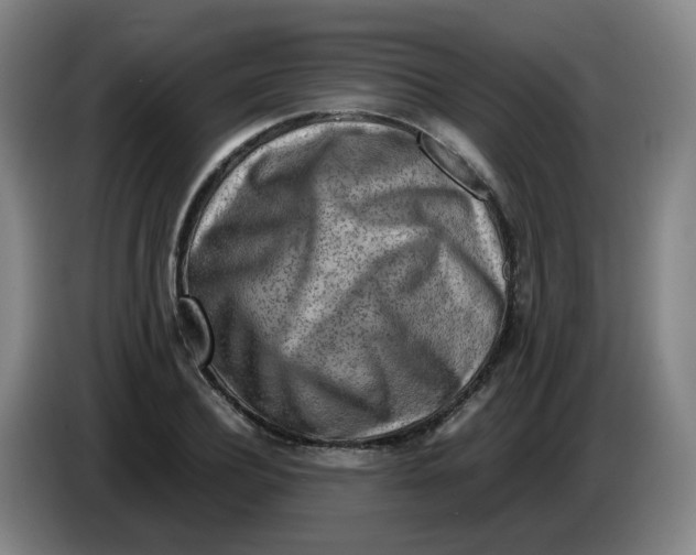 X0000085250932200703301807